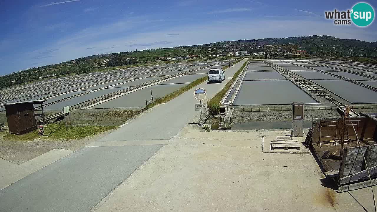 Parco Naturale Saline di Sicciole