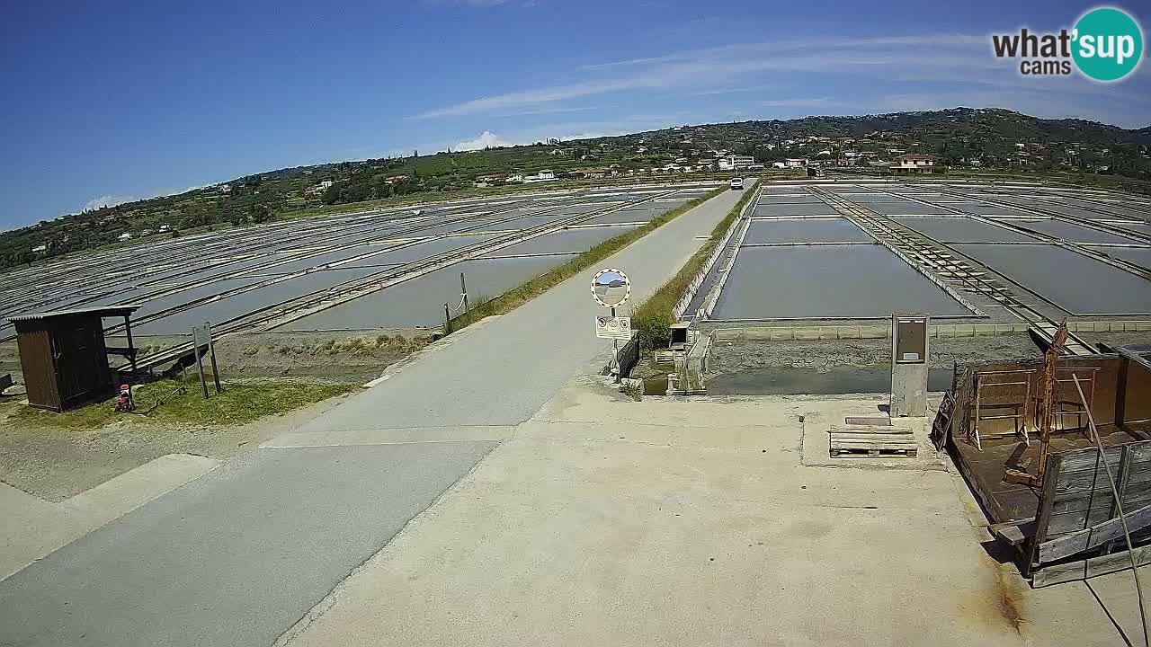 Seča – Panorama in soline