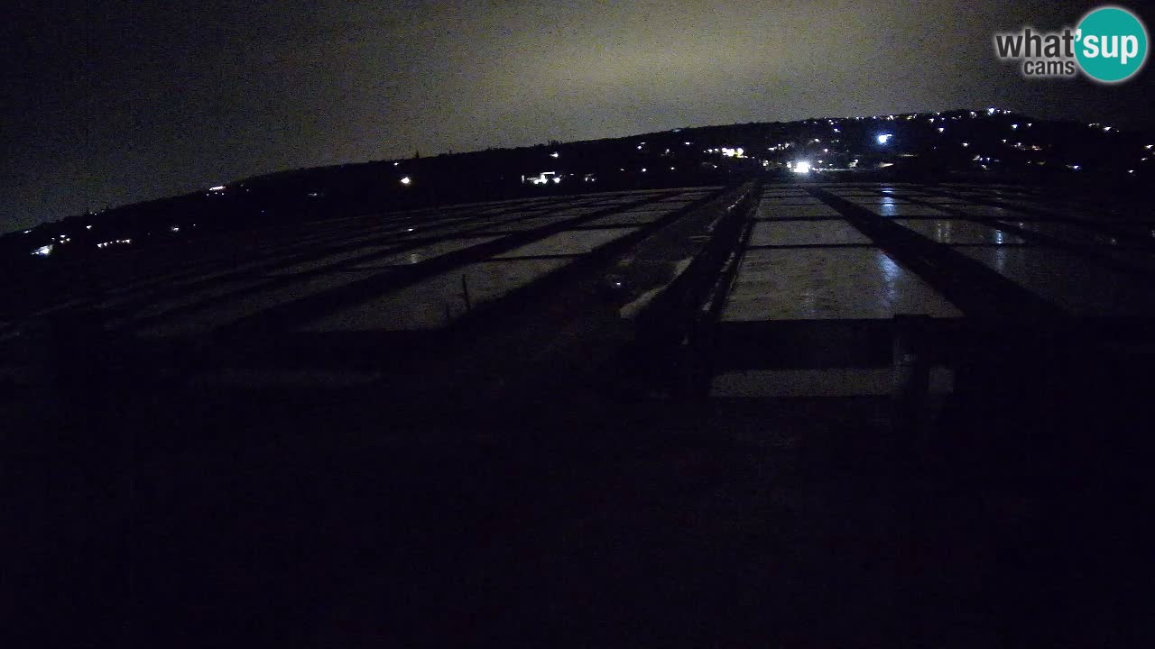 Krajinski Park Sečoveljske Soline