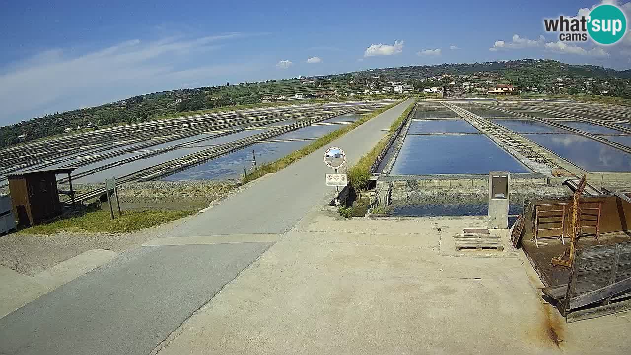Krajinski Park Sečoveljske Soline