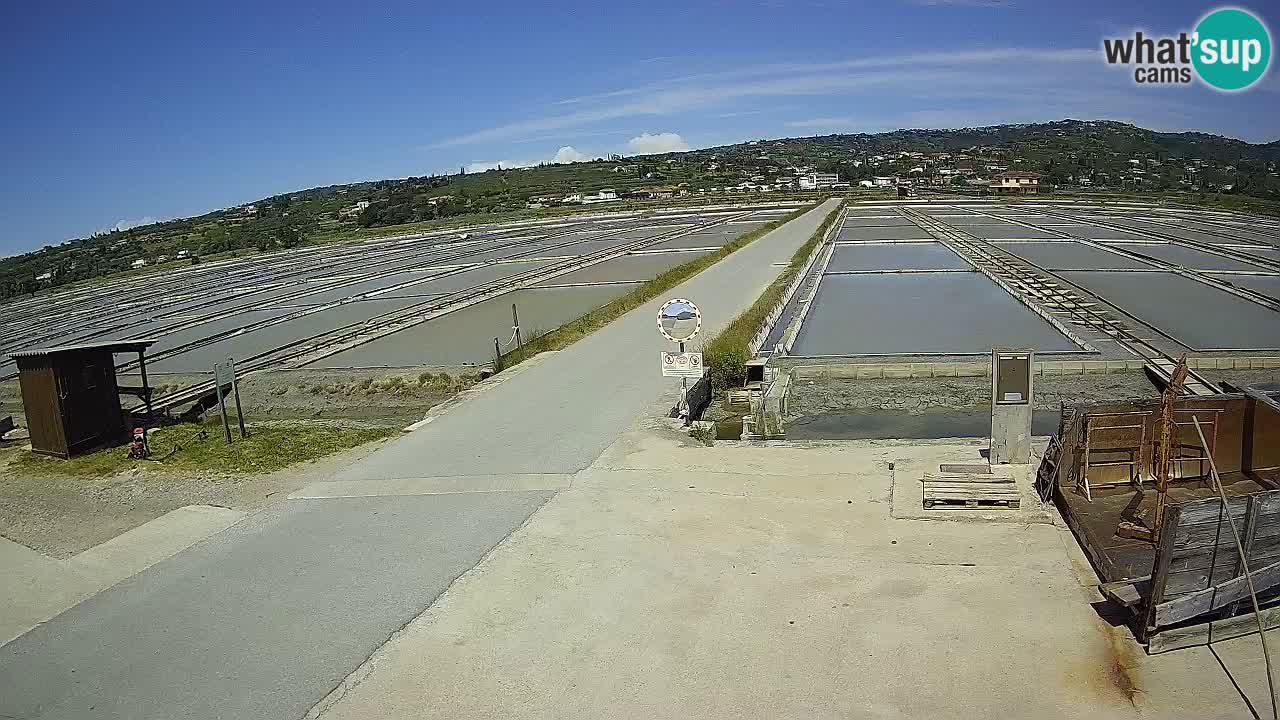 Sečovlje Salina Parque Natural