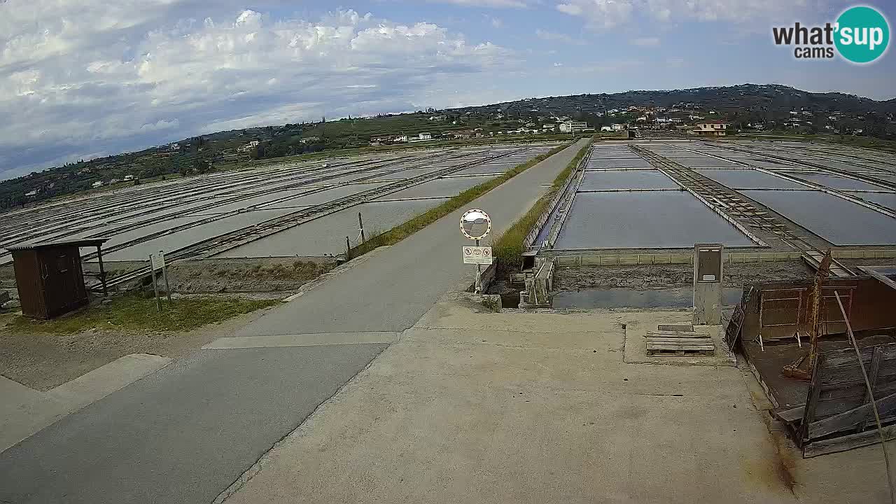Krajinski Park Sečoveljske Soline