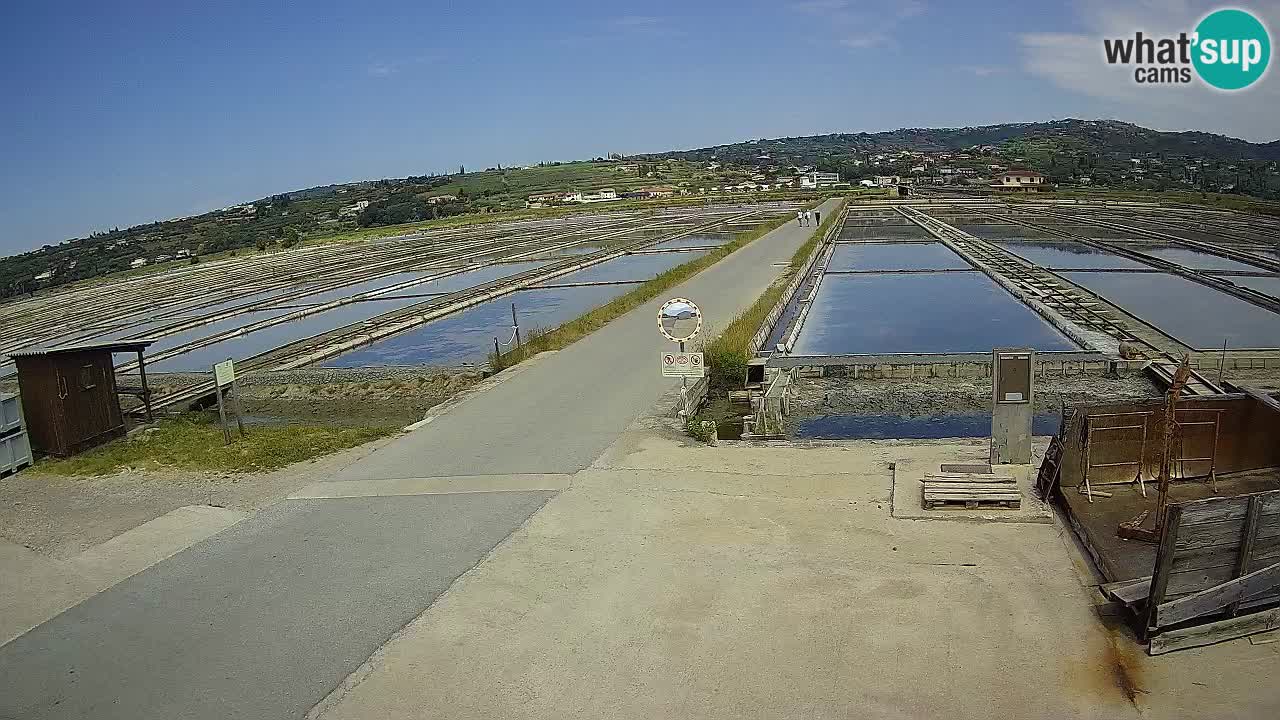 Naturpark der Salinen von Sečovlje