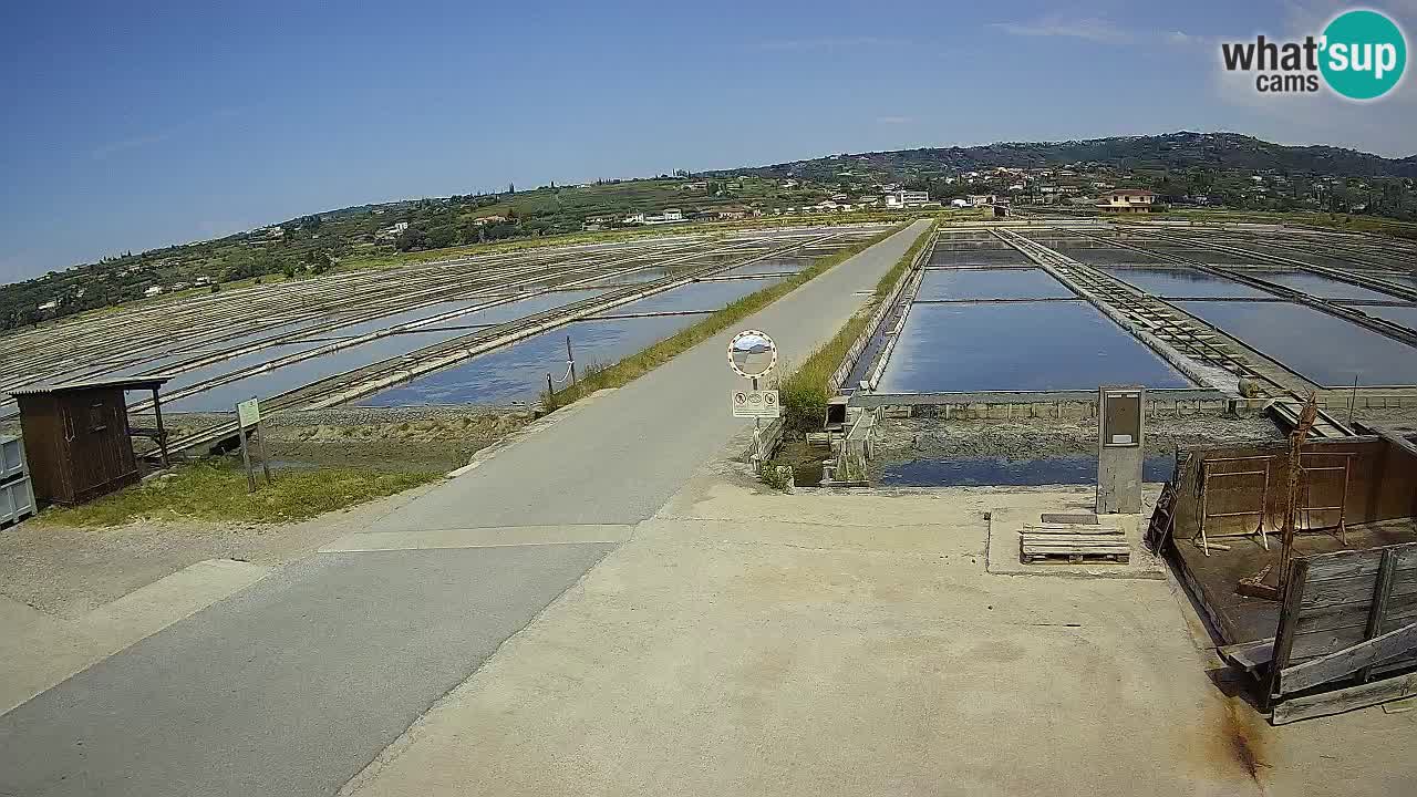 ﻿Sečovlje Salina Nature Park – KPSS