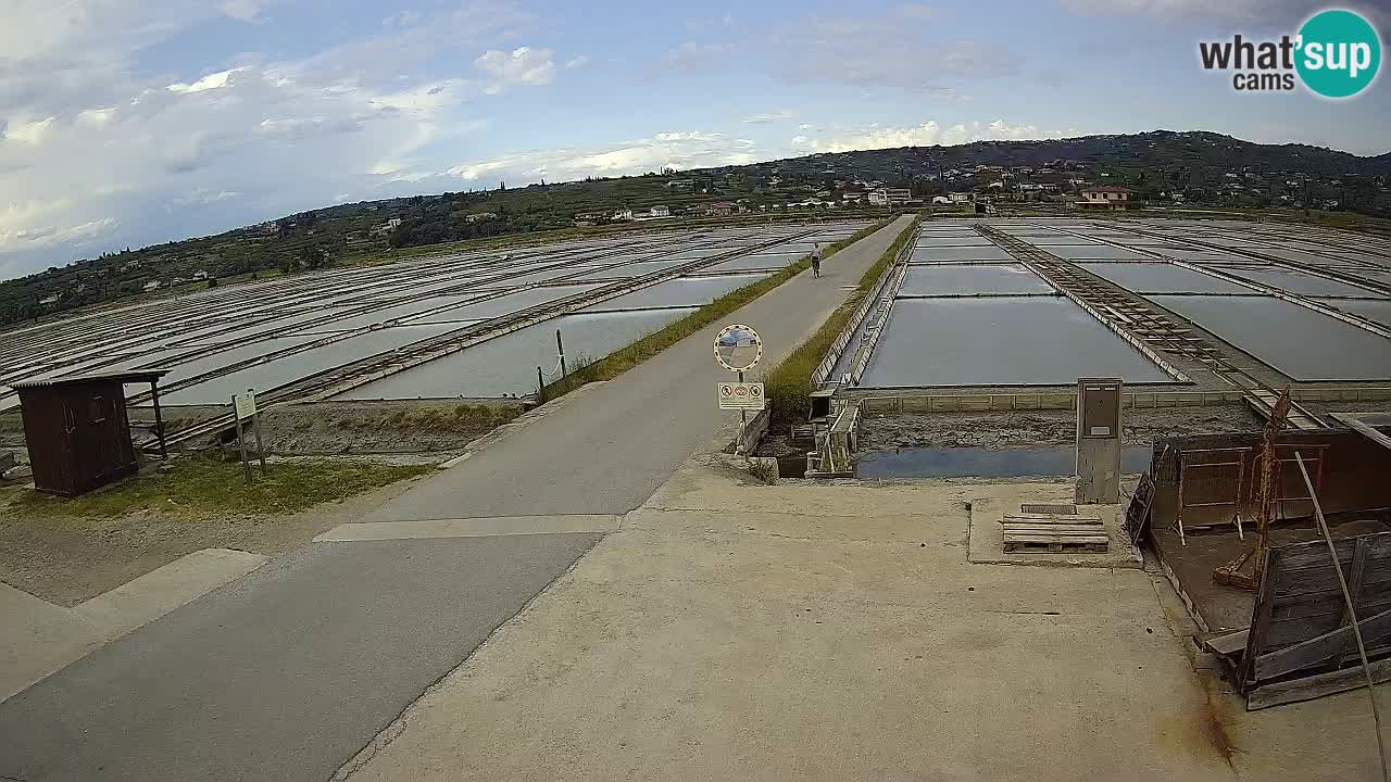 Sečovlje Salina Nature Park