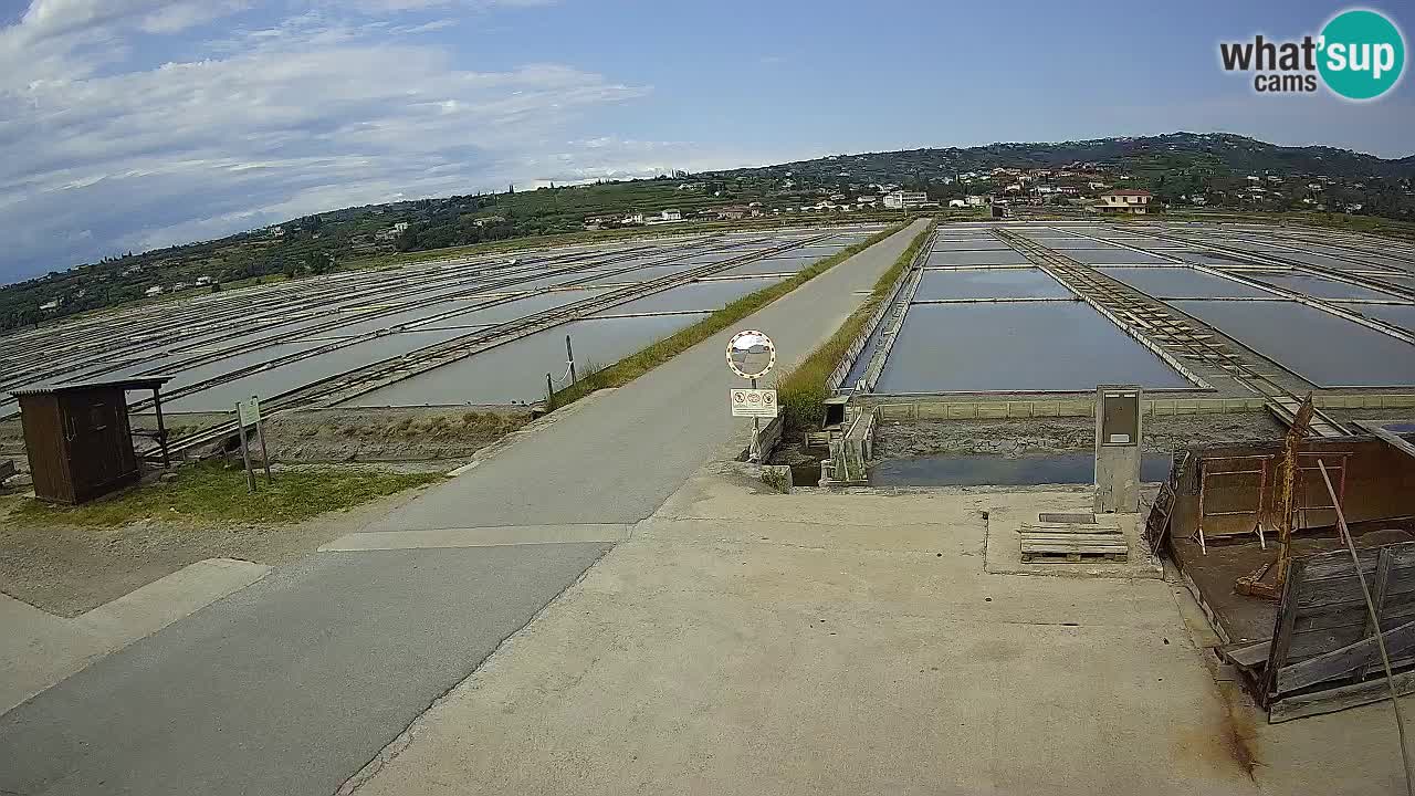 Sečovlje Salina Parque Natural