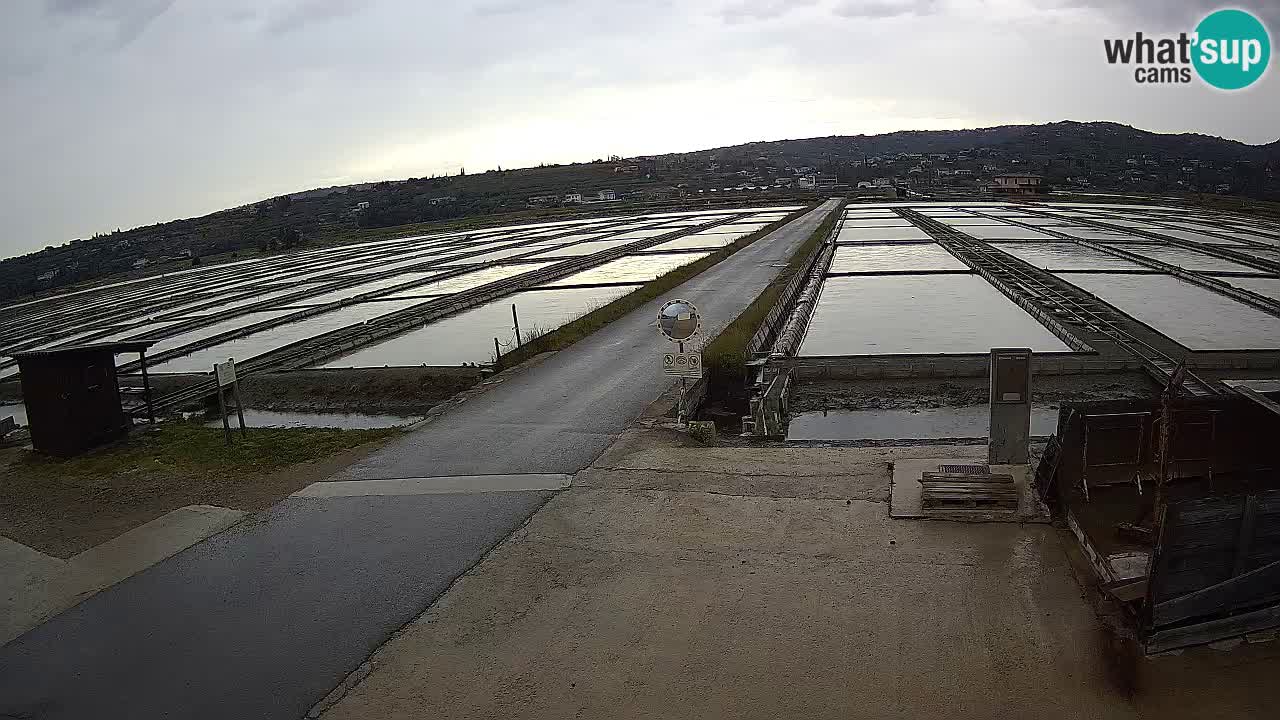 Sečovlje Salina Parque Natural