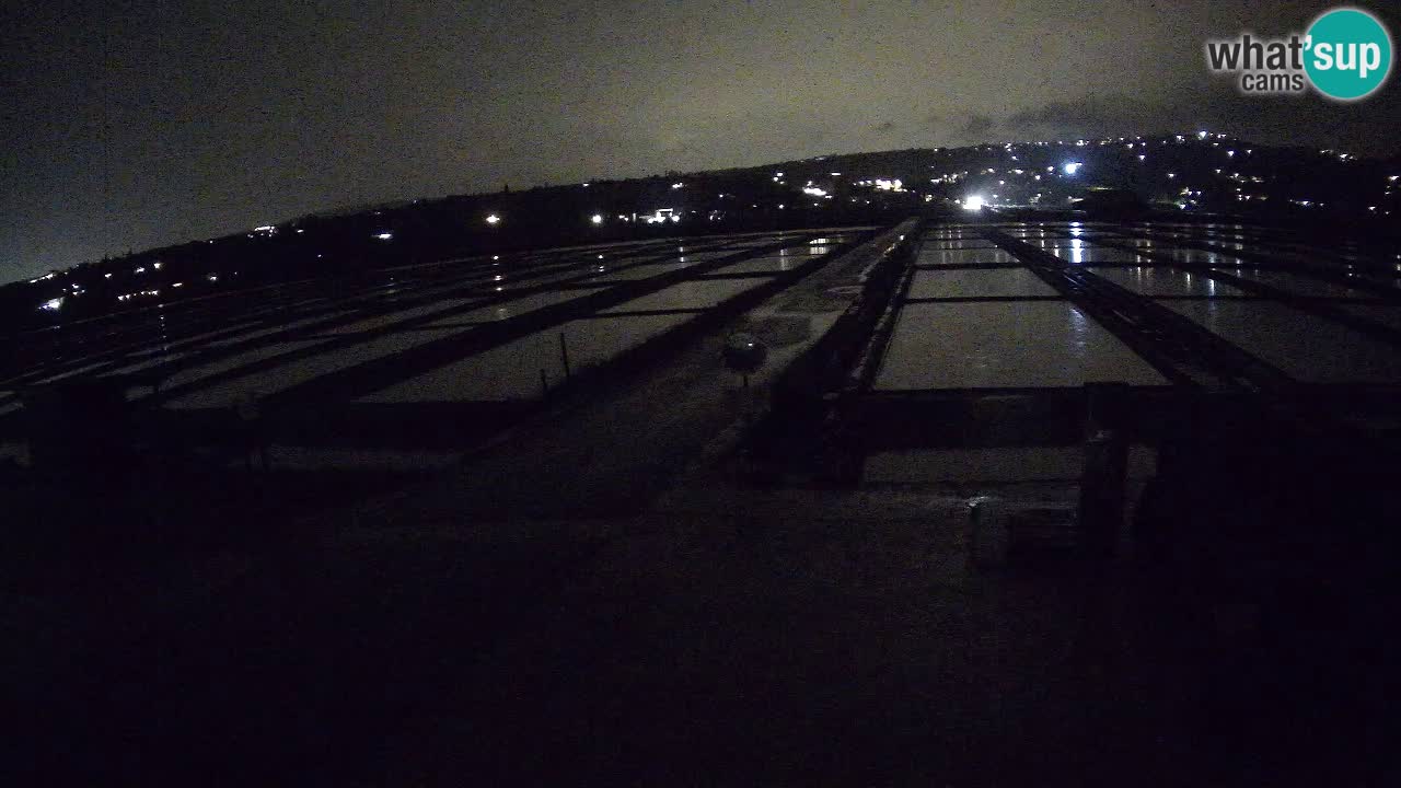 Park prirode Sečovlje Salina