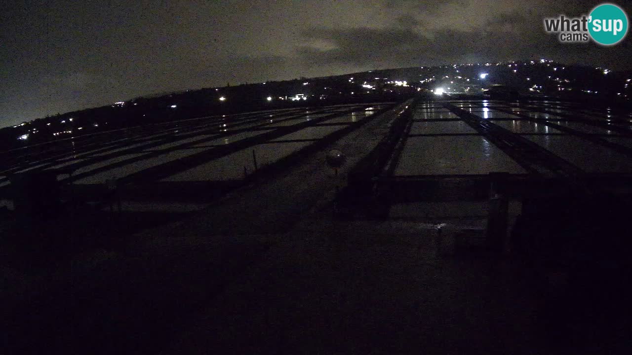Sečovlje Salina Parque Natural