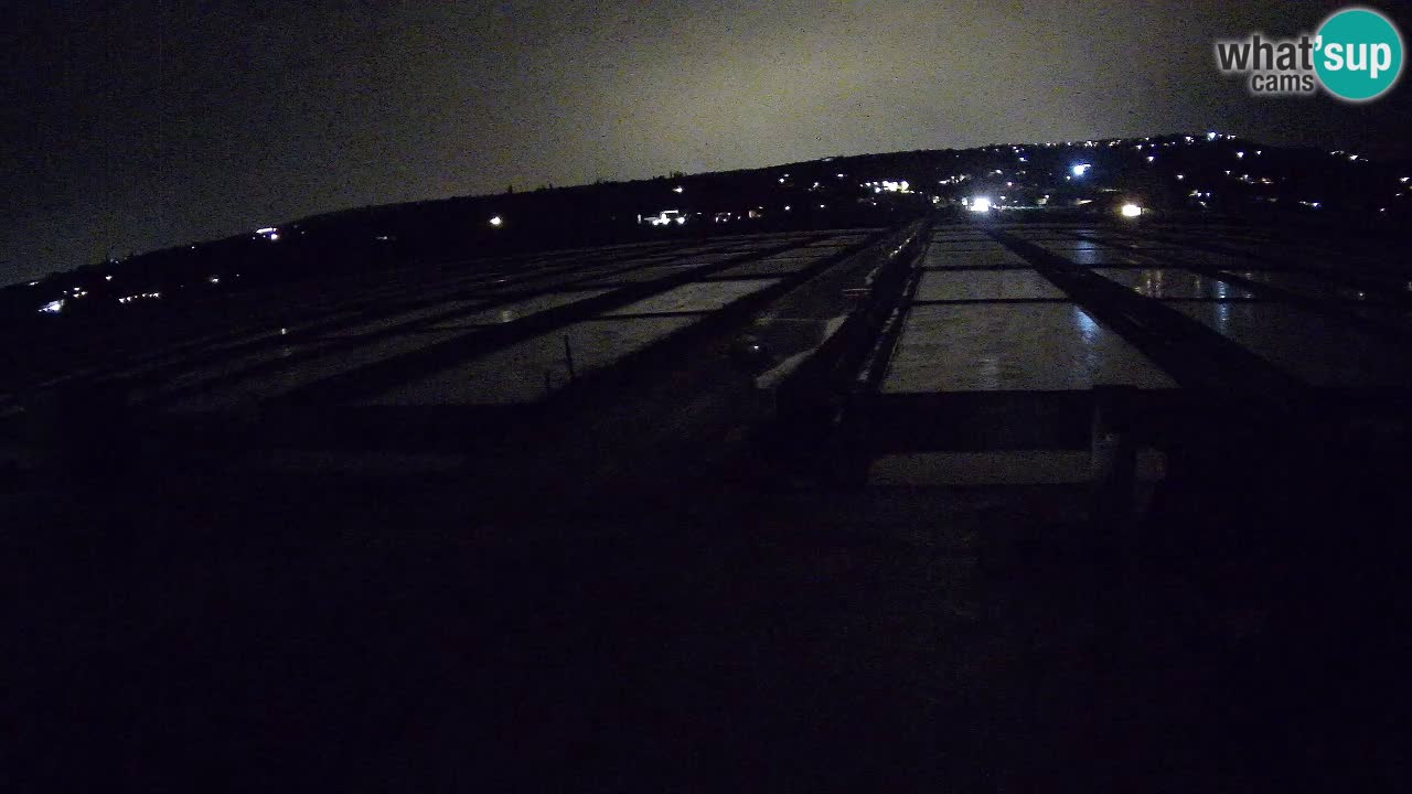 Krajinski Park Sečoveljske Soline