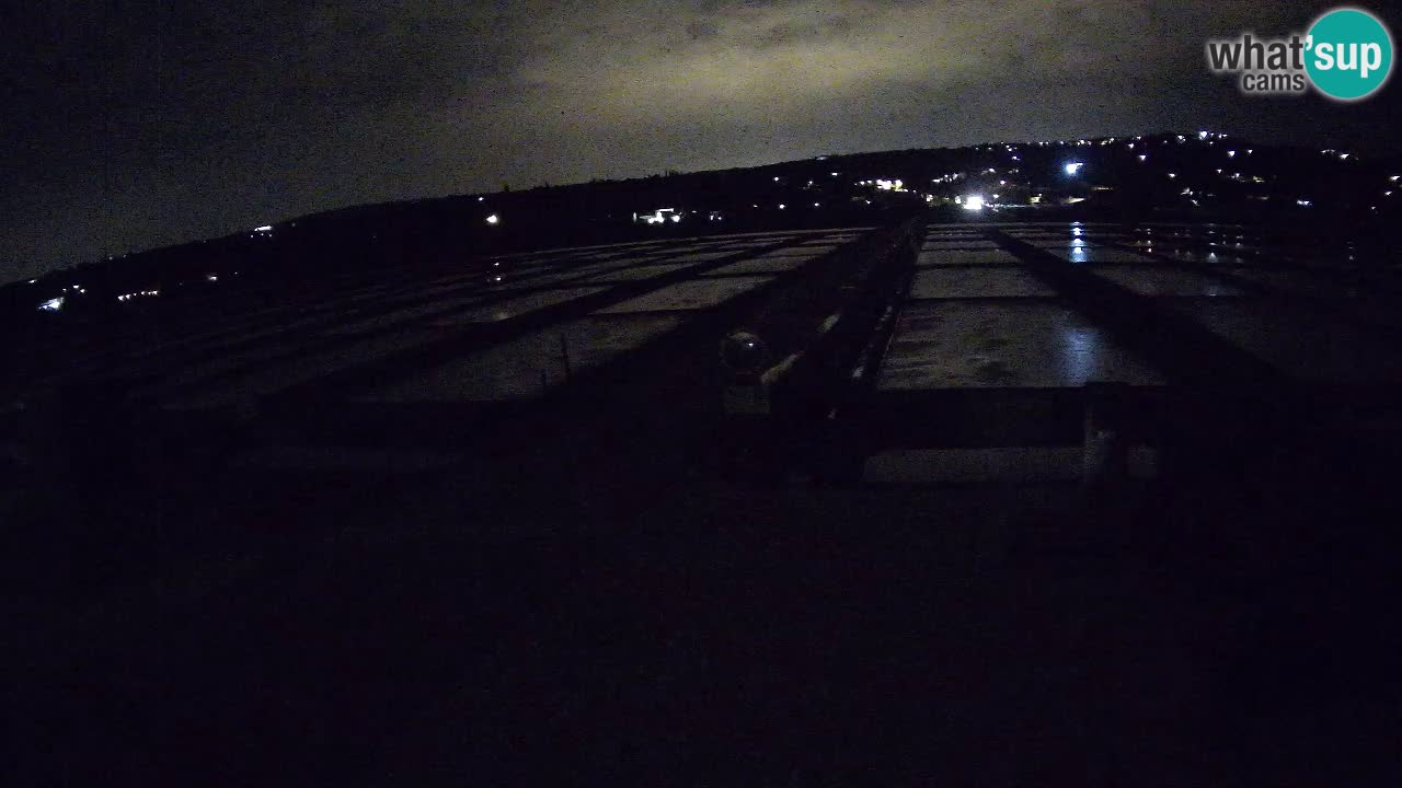 Sečovlje Salina Parque Natural