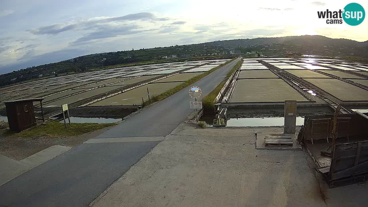 Park prirode Sečovlje Salina