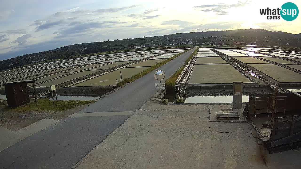 Park prirode Sečovlje Salina