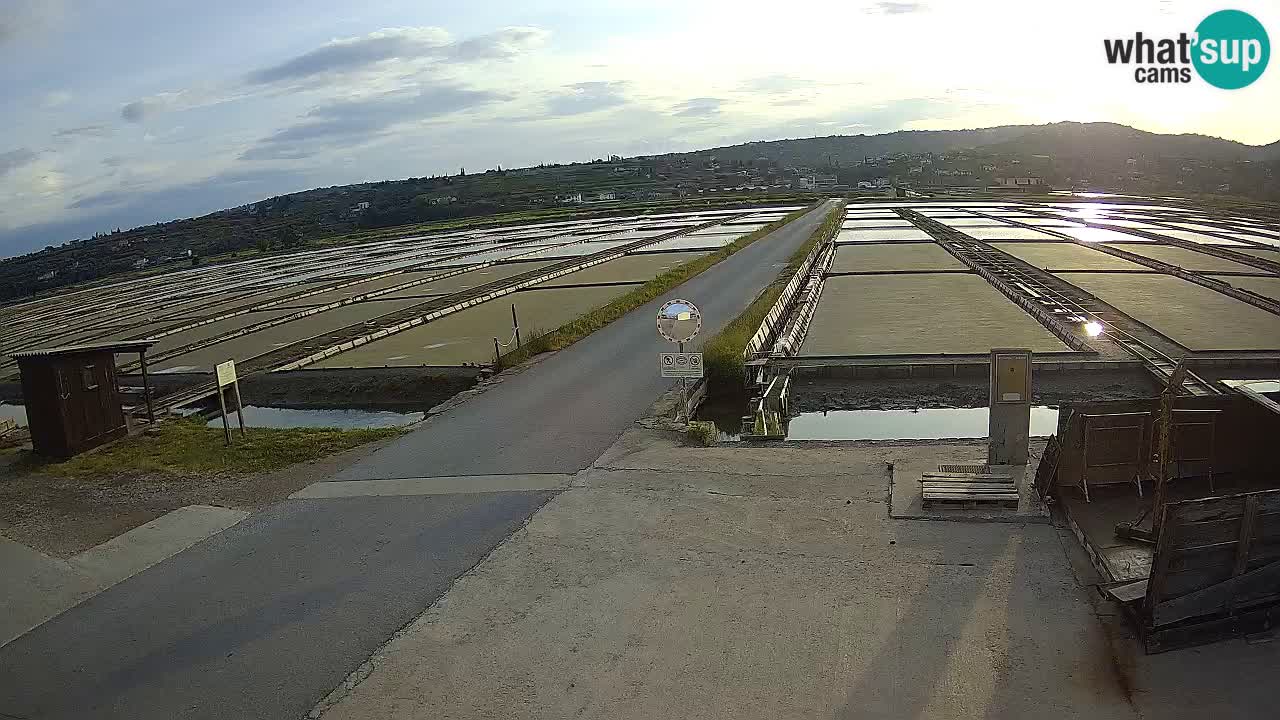 Sečovlje Salina Parque Natural