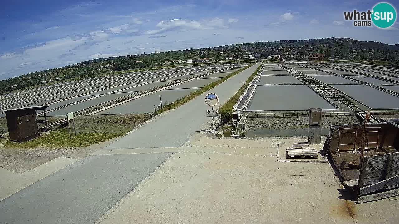 Park prirode Sečovlje Salina