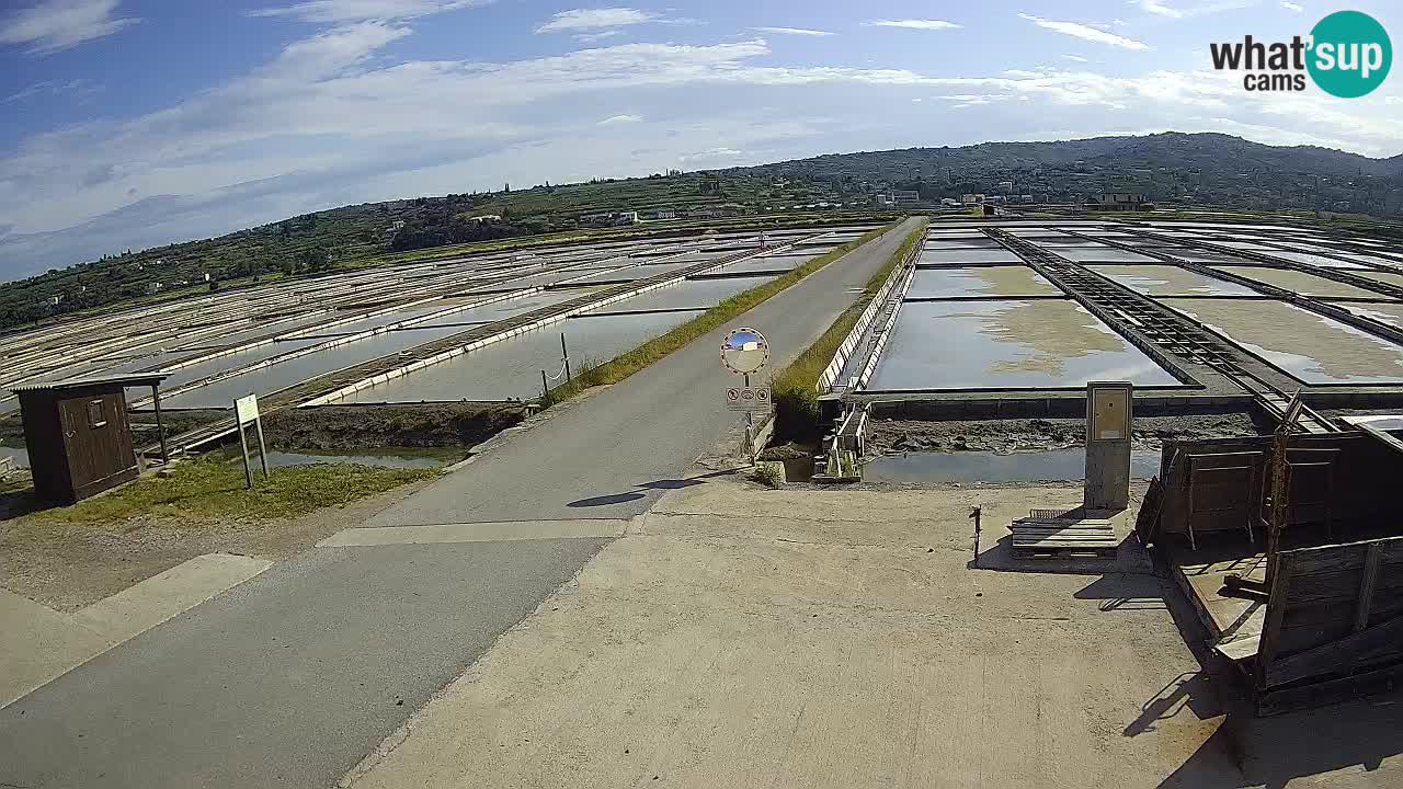 Sezza – Panorama e le saline