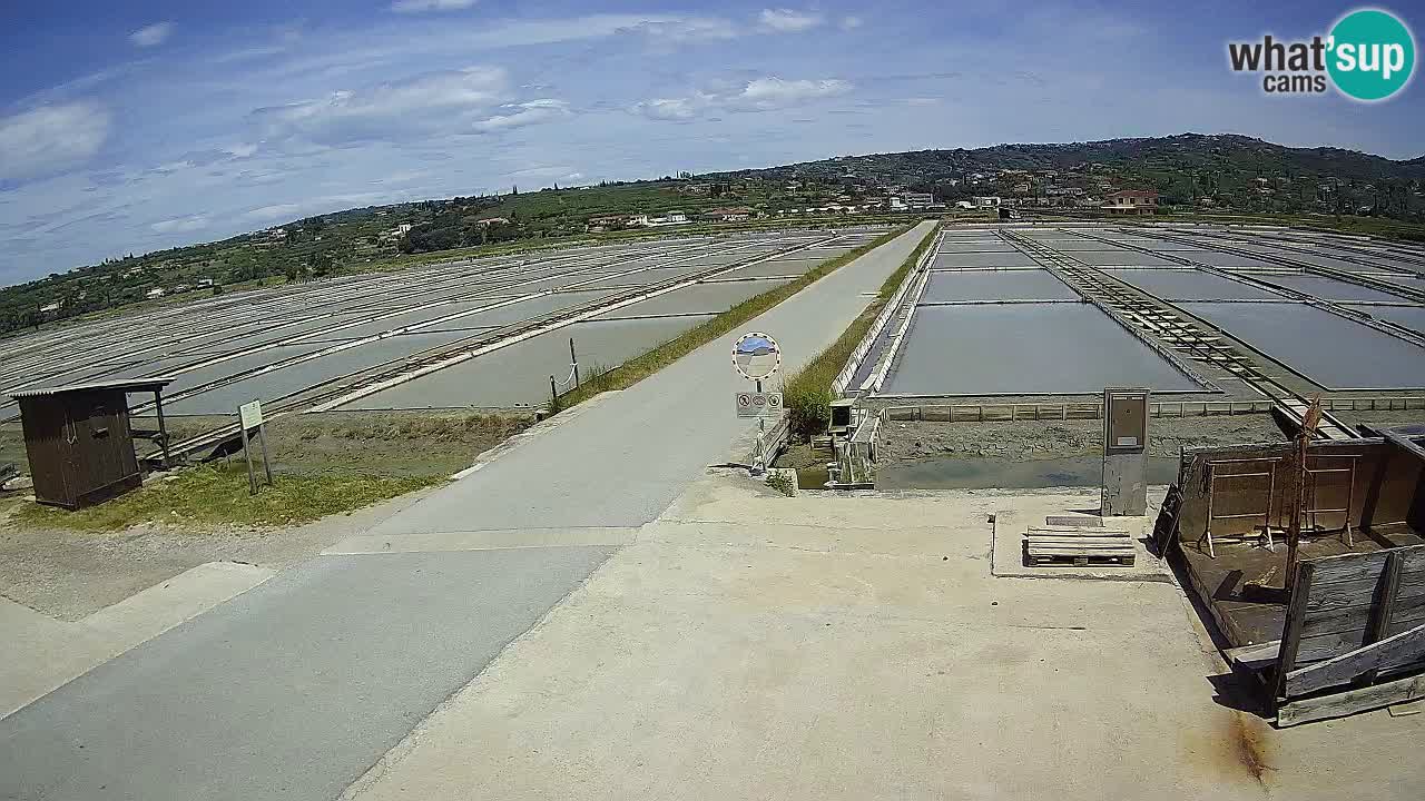 ﻿Sečovlje Salina Nature Park – KPSS