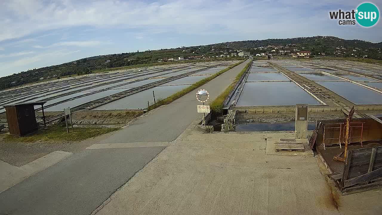﻿Sečovlje Salina Nature Park – KPSS