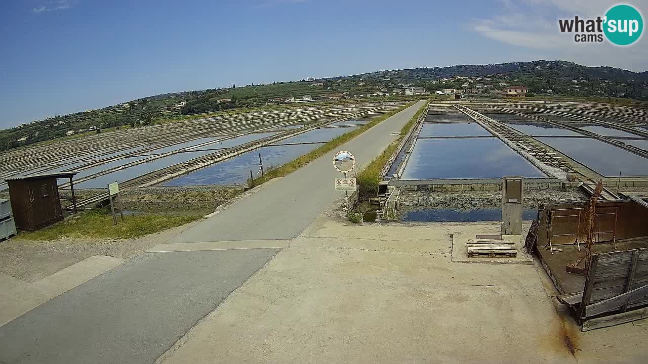 ﻿Sečovlje Salina Nature Park – KPSS