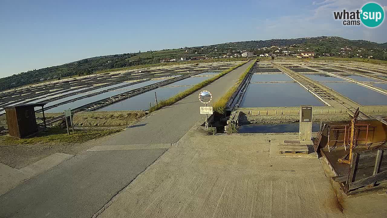 Park prirode Sečovlje Salina