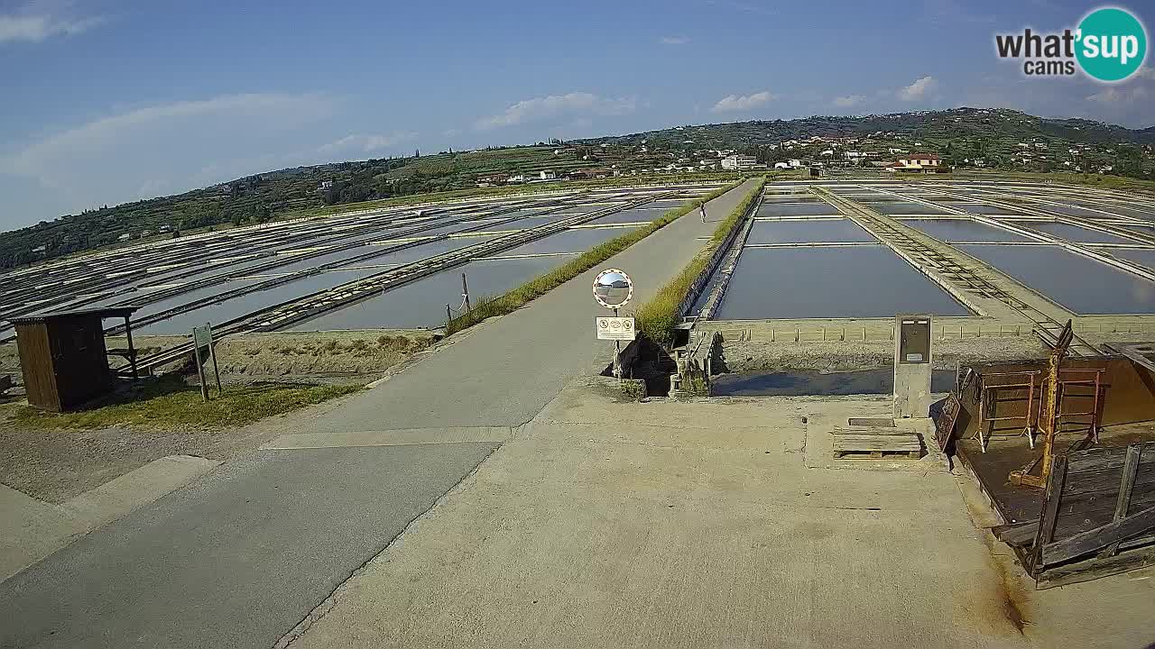 ﻿Sečovlje Salina Nature Park – KPSS