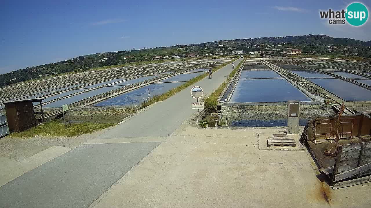 Parco Naturale Saline di Sicciole