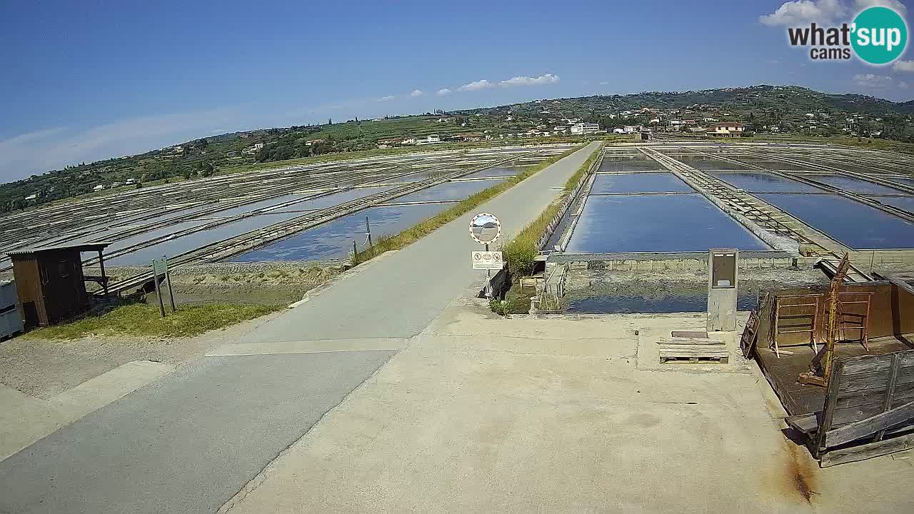 Sezza – Panorama e le saline