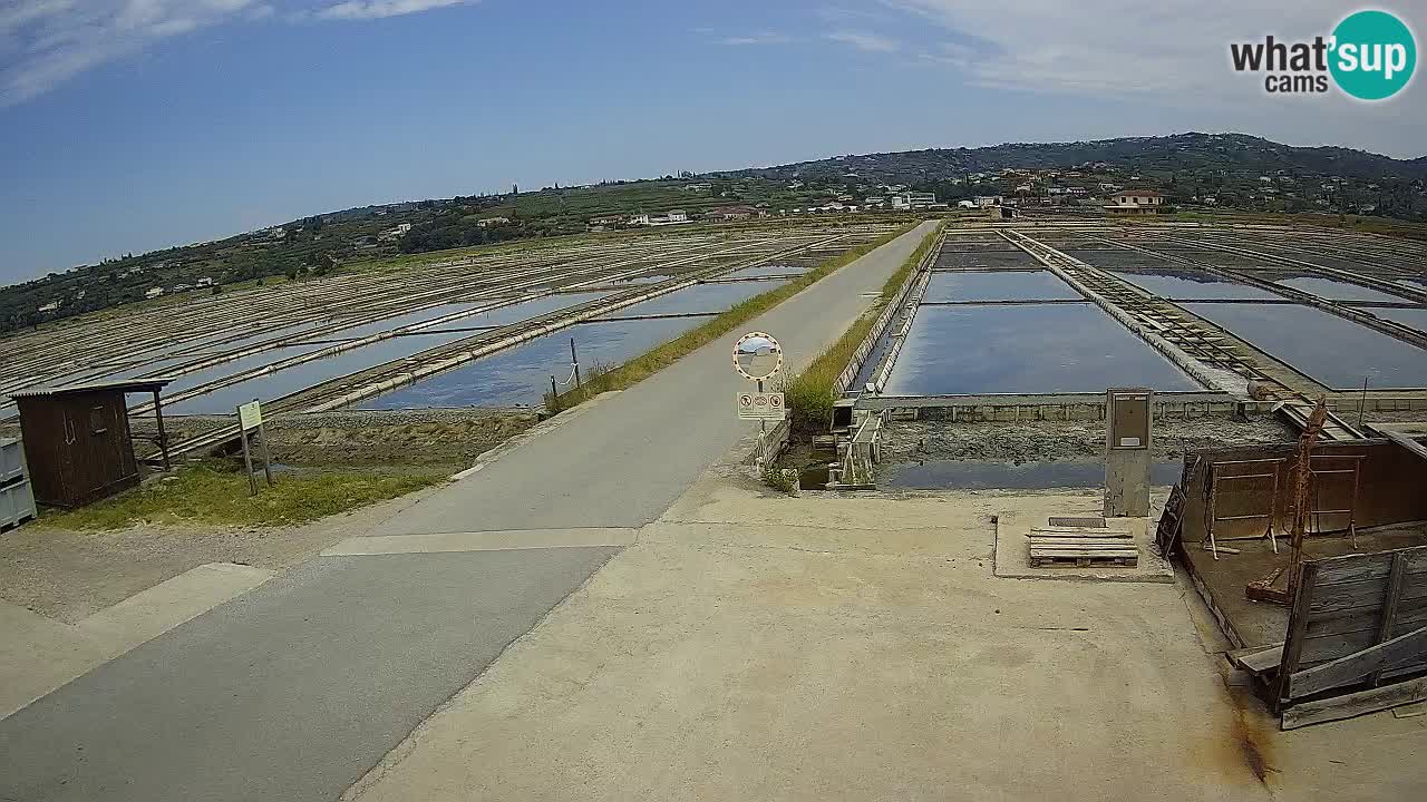 Sečovlje Salina Parque Natural