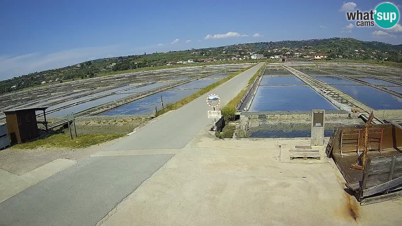 Krajinski Park Sečoveljske Soline