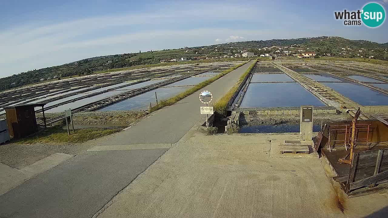 Park prirode Sečovlje Salina