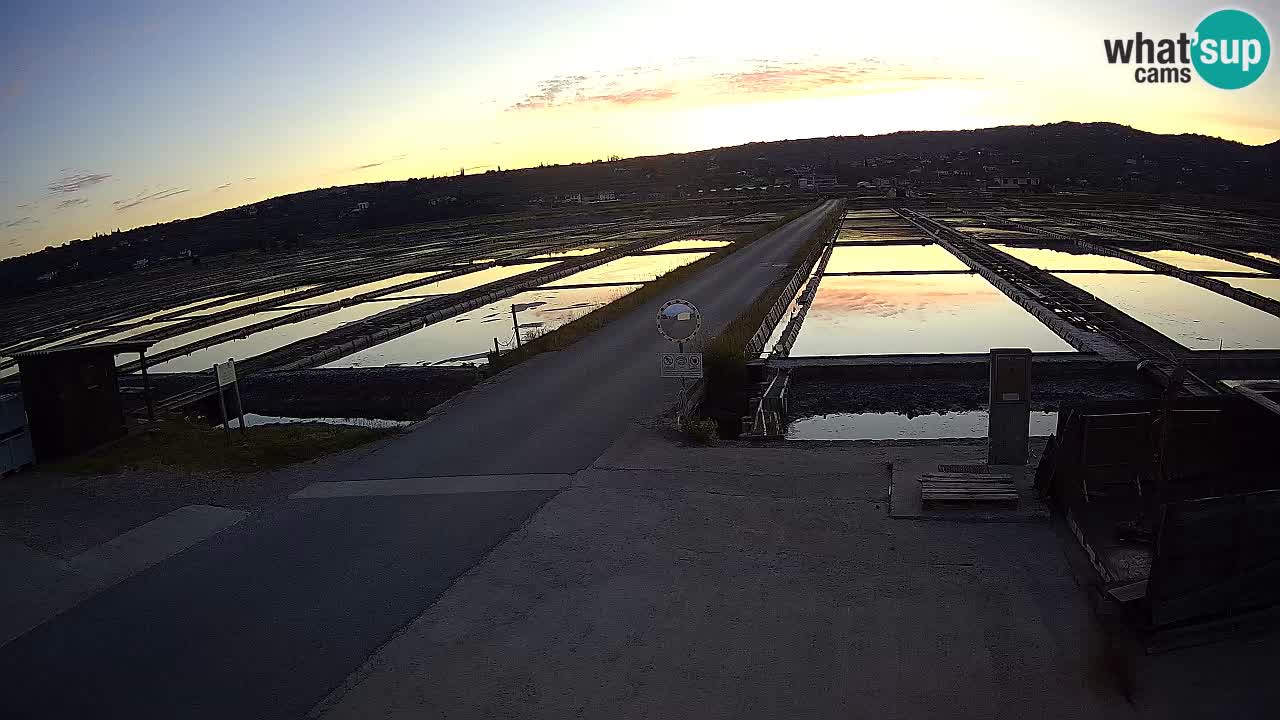 ﻿Sečovlje Salina Nature Park – KPSS