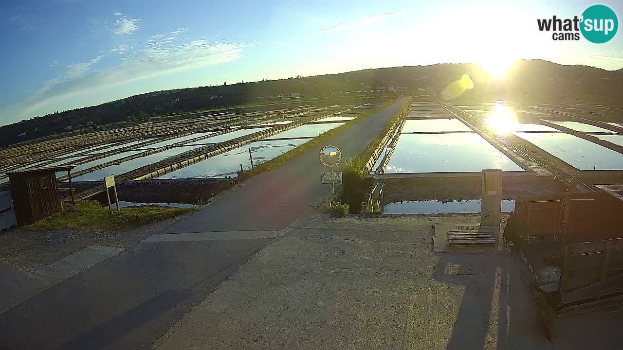 Krajinski Park Sečoveljske Soline