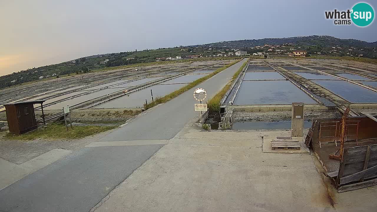 ﻿Sečovlje Salina Nature Park – KPSS