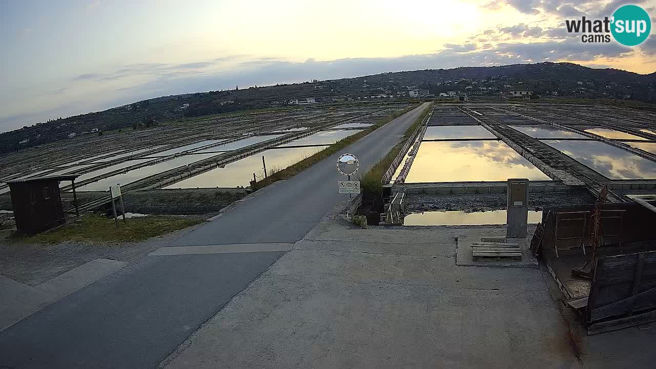 Parco Naturale Saline di Sicciole
