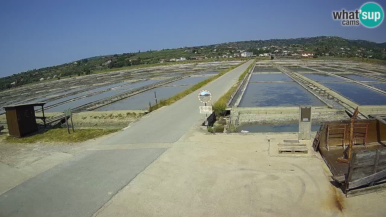 ﻿Sečovlje Salina Nature Park – KPSS