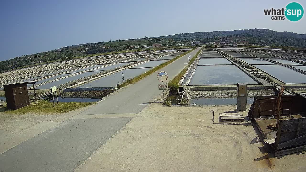 ﻿Sečovlje Salina Nature Park – KPSS