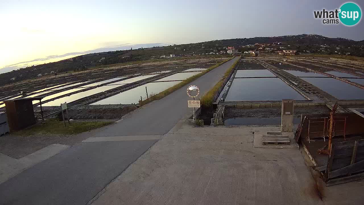 ﻿Sečovlje Salina Nature Park – KPSS