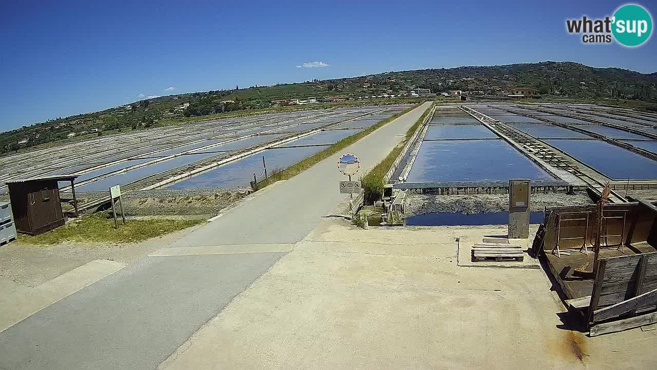 ﻿Sečovlje Salina Nature Park – KPSS
