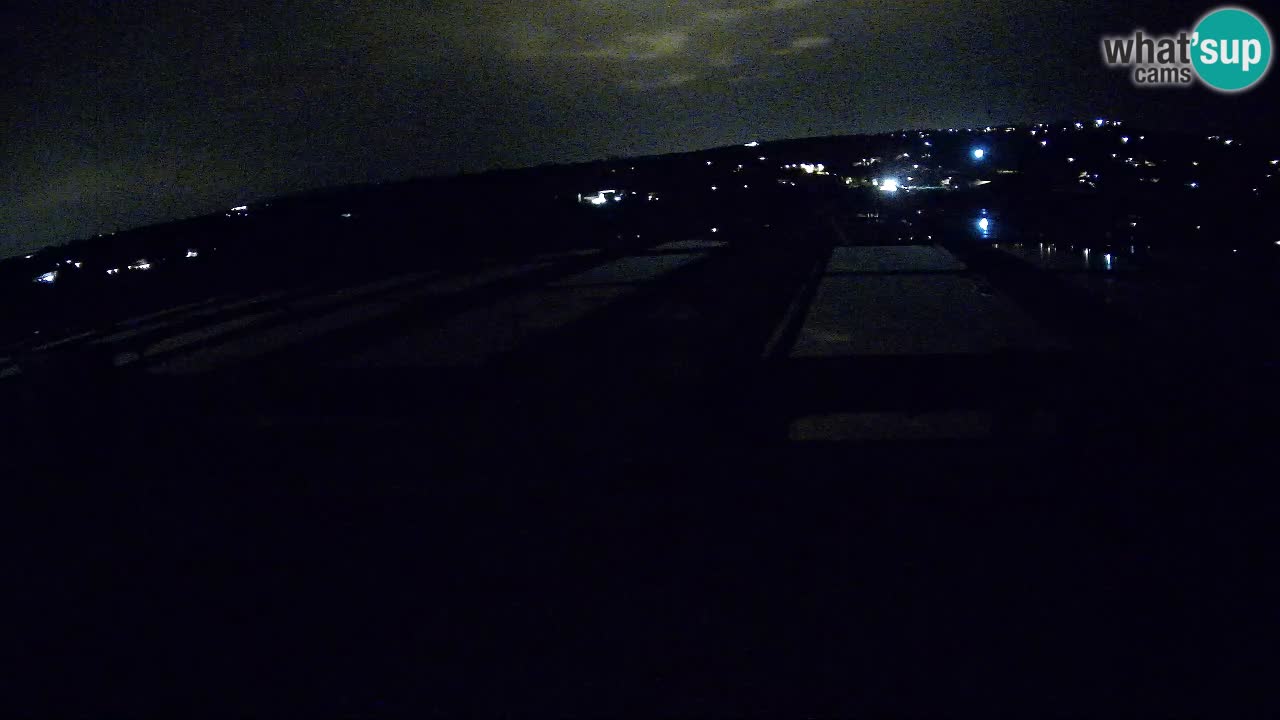Krajinski Park Sečoveljske Soline