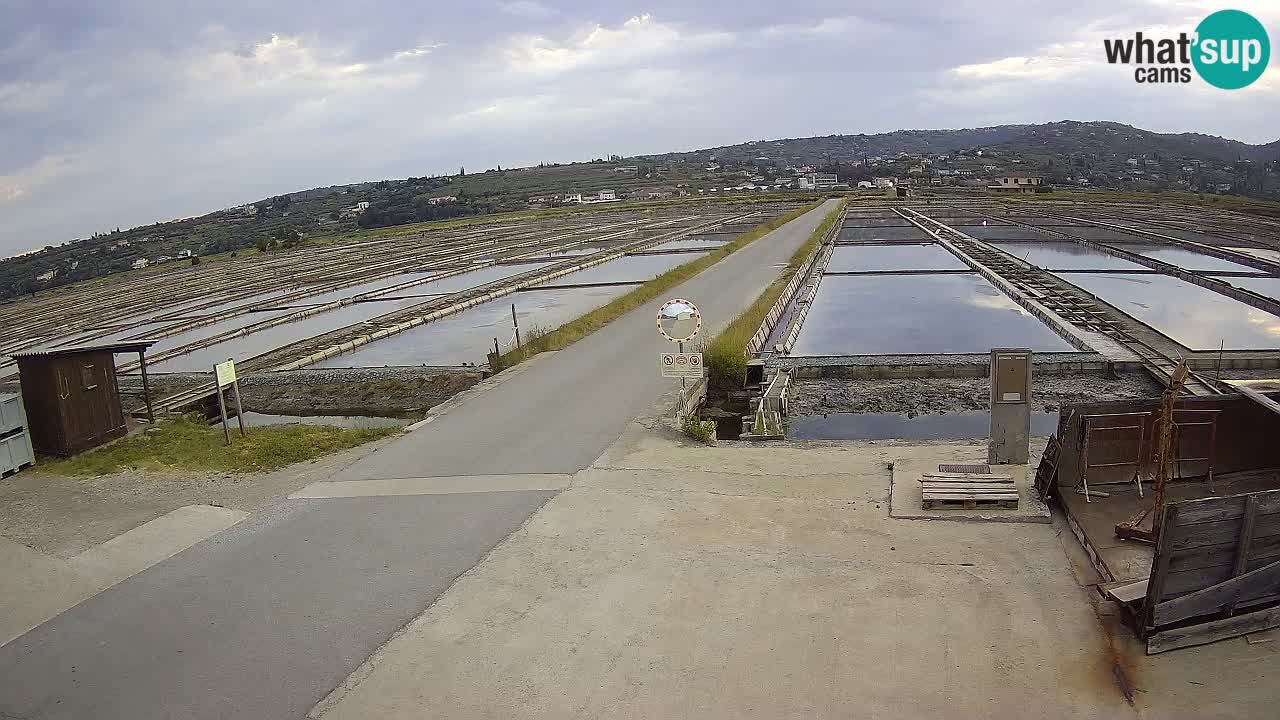 Sečovlje Salina Parque Natural