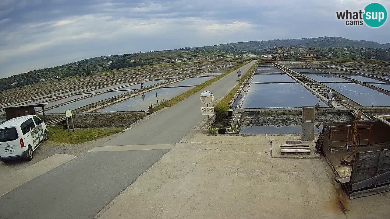 Seča – Panorama in soline
