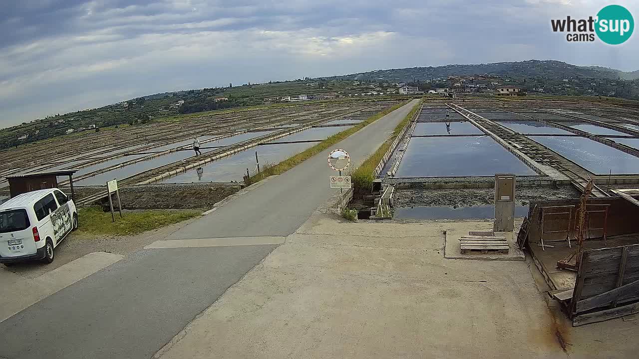 ﻿Sečovlje Salina Nature Park – KPSS