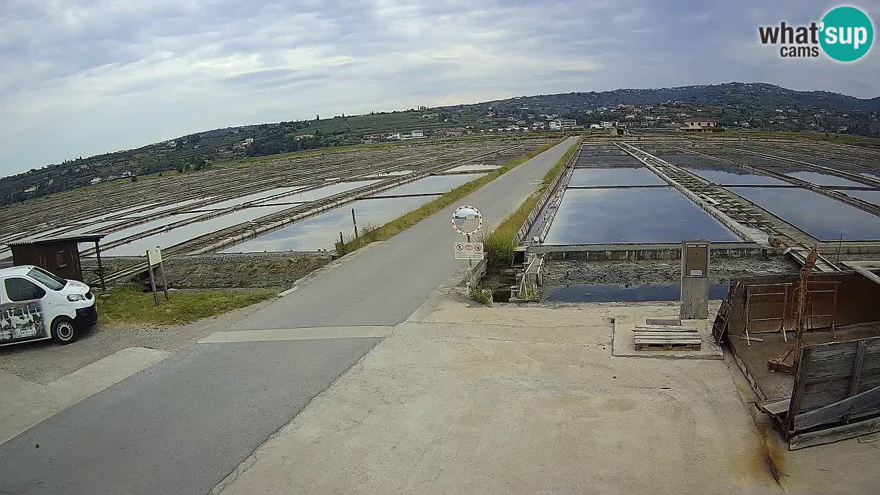 ﻿Sečovlje Salina Nature Park – KPSS