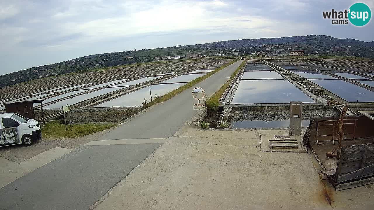 ﻿Sečovlje Salina Nature Park – KPSS