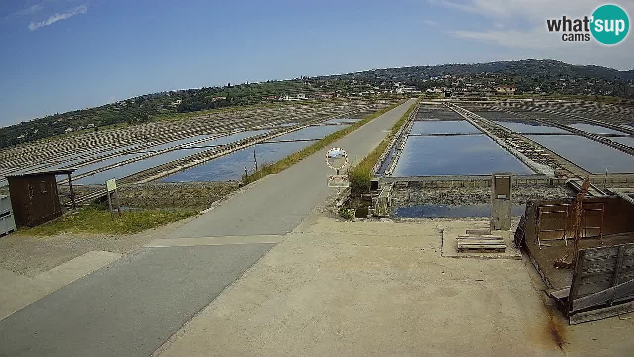 ﻿Sečovlje Salina Nature Park – KPSS