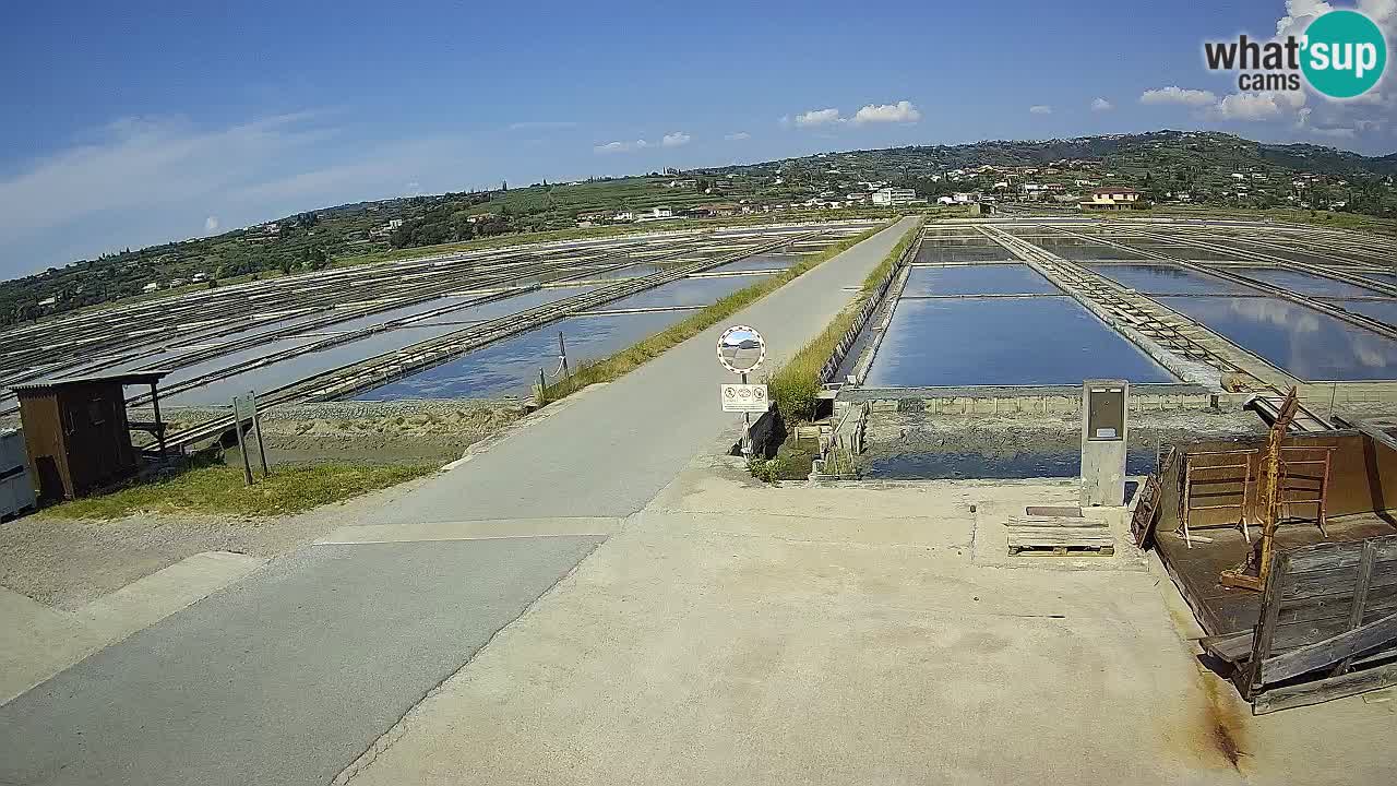 Sečovlje Salina Parque Natural
