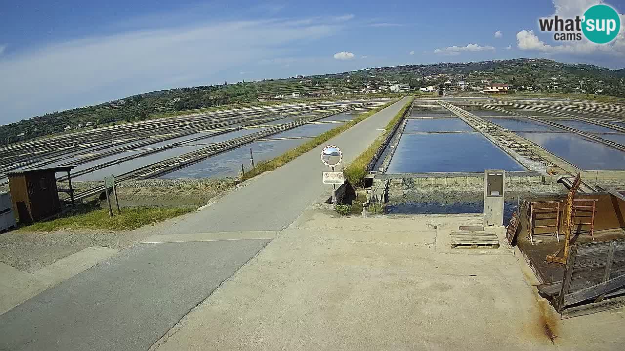 Sečovlje Salina Parque Natural