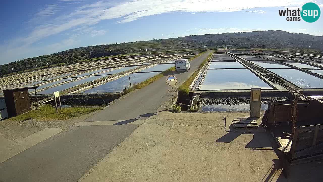﻿Sečovlje Salina Nature Park – KPSS