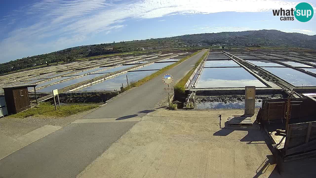 Sečovlje Salina Nature Park