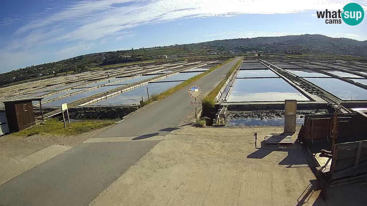 Krajinski Park Sečoveljske Soline